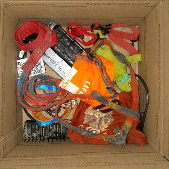 Surprise pet toy, clothing or accessory - Picture 5 of 9